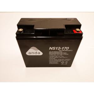 AGM BATTERY NS12V 17AH (C20) T10