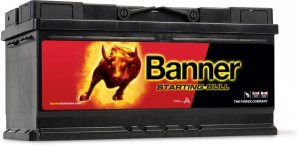 BANNER POWER BULL P8820 88AH 700A (EN)
