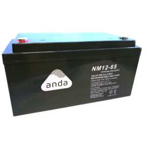 AGM BATTERY NM12V  65AH (C10) T13