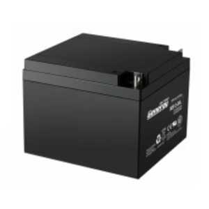 AGM BATTERY NS12V 24AH (C20) T10