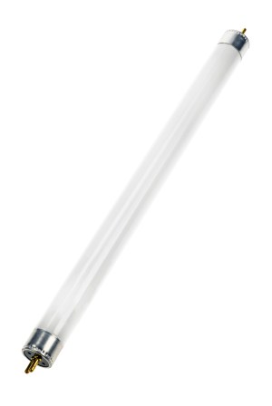 TL 11W G5 16X212 Blacklight