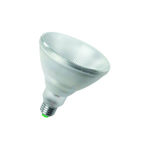 LED PAR38 16/100W 35G2800