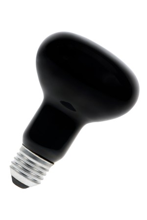 E27 R80 240V 75W Blacklight Blue