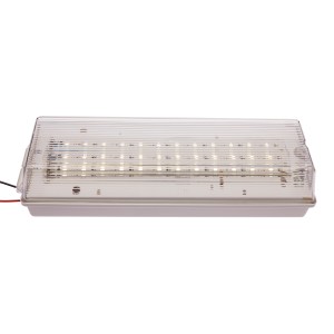 FRL6/24-25 2500K IP65 Luminaire 24V/5W